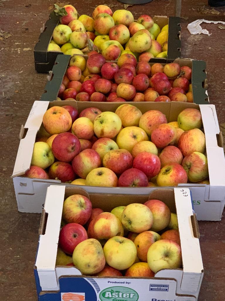 Apples for Rotherham Foodbank