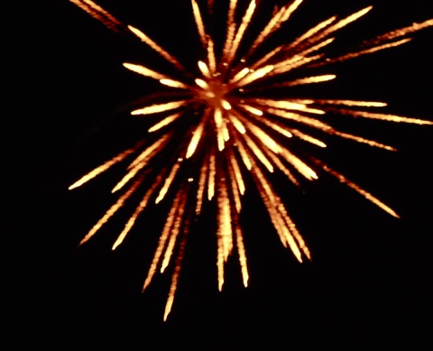 Burgers, Buns and Bangs Fireworks Party